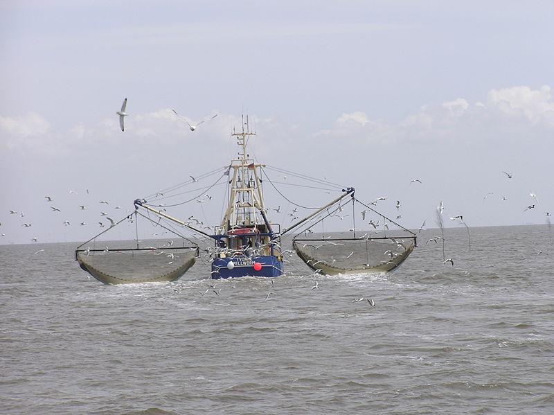fishing-vessel