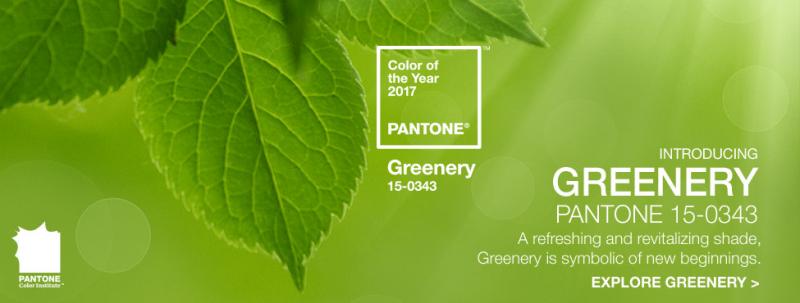 greenery-15-0343