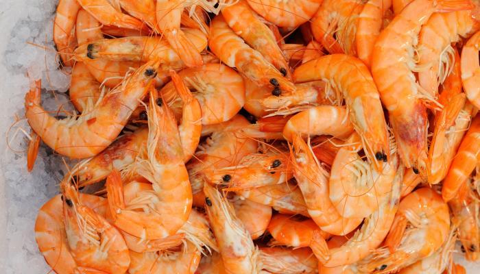fresh_shrimp