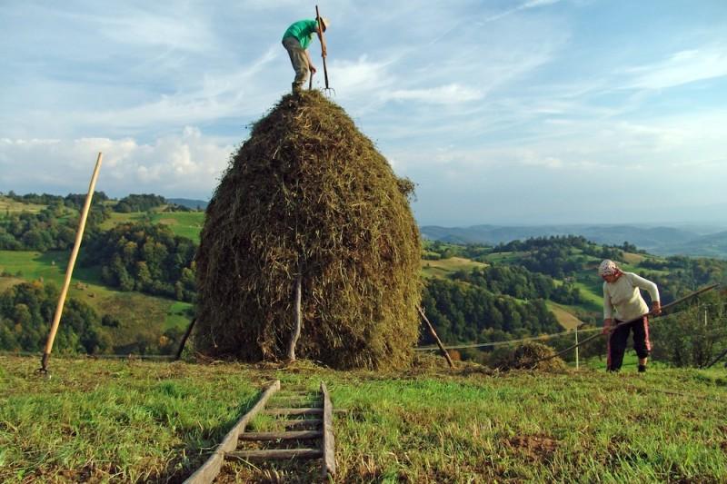 jordbruk_Romania