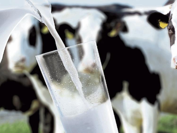 мляко, производство, Agrozona.bg