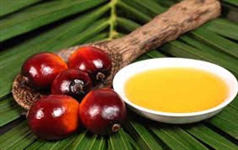 Палмовото масло, произведено по устойчив начин може да бъде дефицитна стока през тази година. 