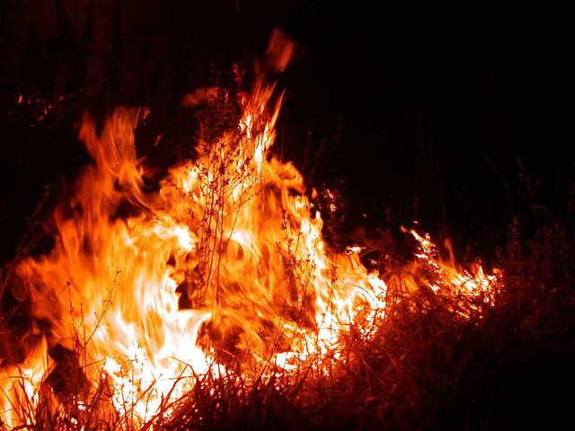 горски пожар, жертви, Agrozona.bg
