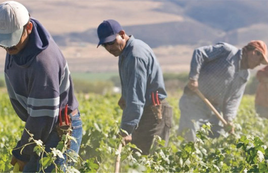 гръцки фермери, работници, Agrozona.bg