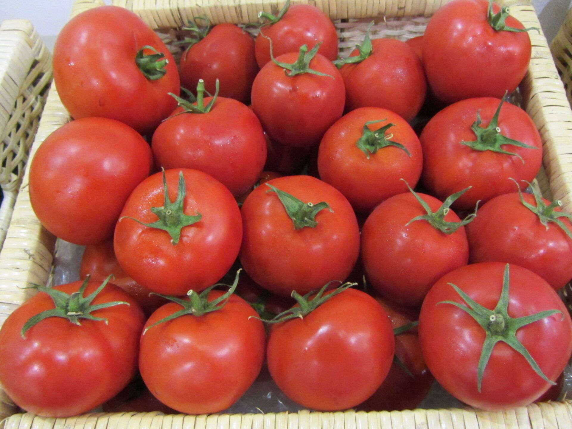 домати, производство, Agrozona.bg