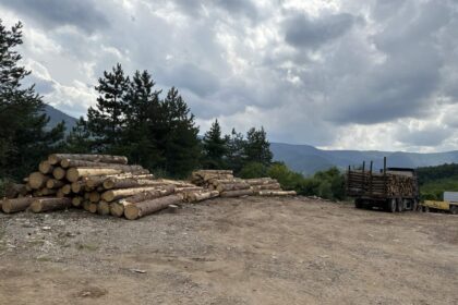 сеч, незаконно, ИАГ, сечище